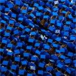 A large group of people wearing blue graduation caps.